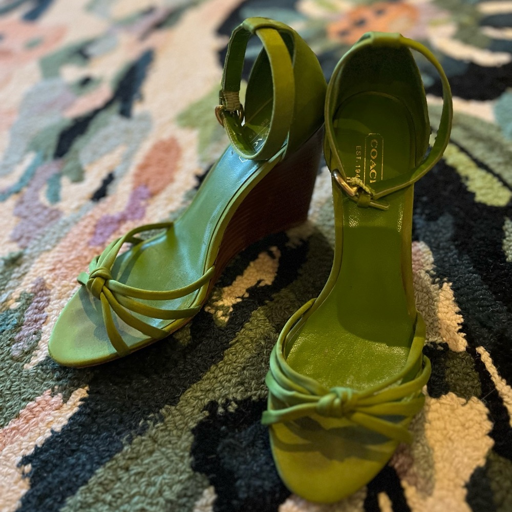 2 for $30 🔥 Coach Wegdes